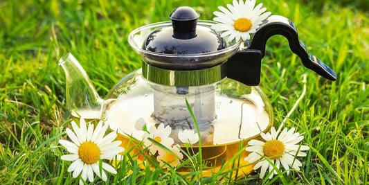 How To Brew The Perfect Chamomile Tea