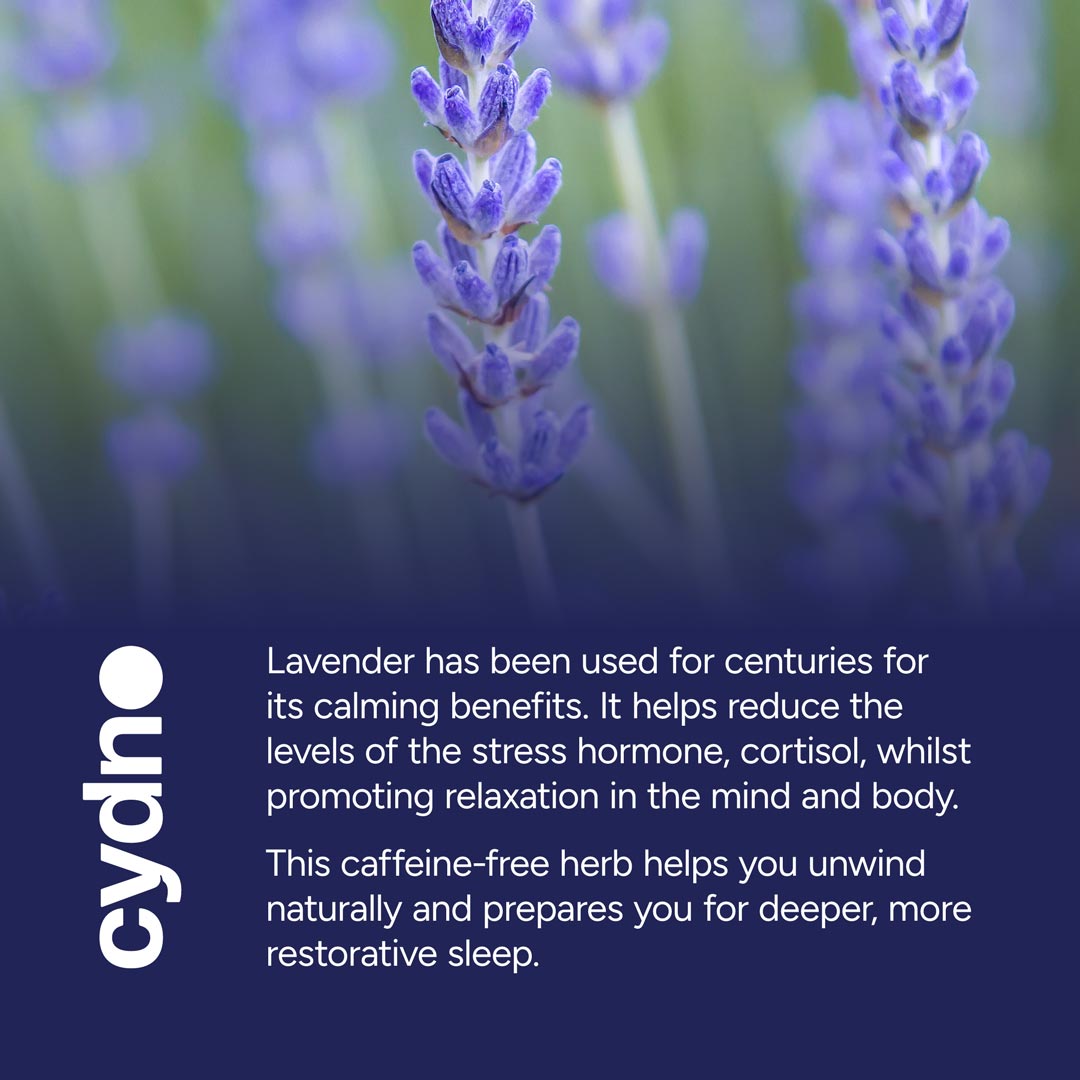 Lavender Tea