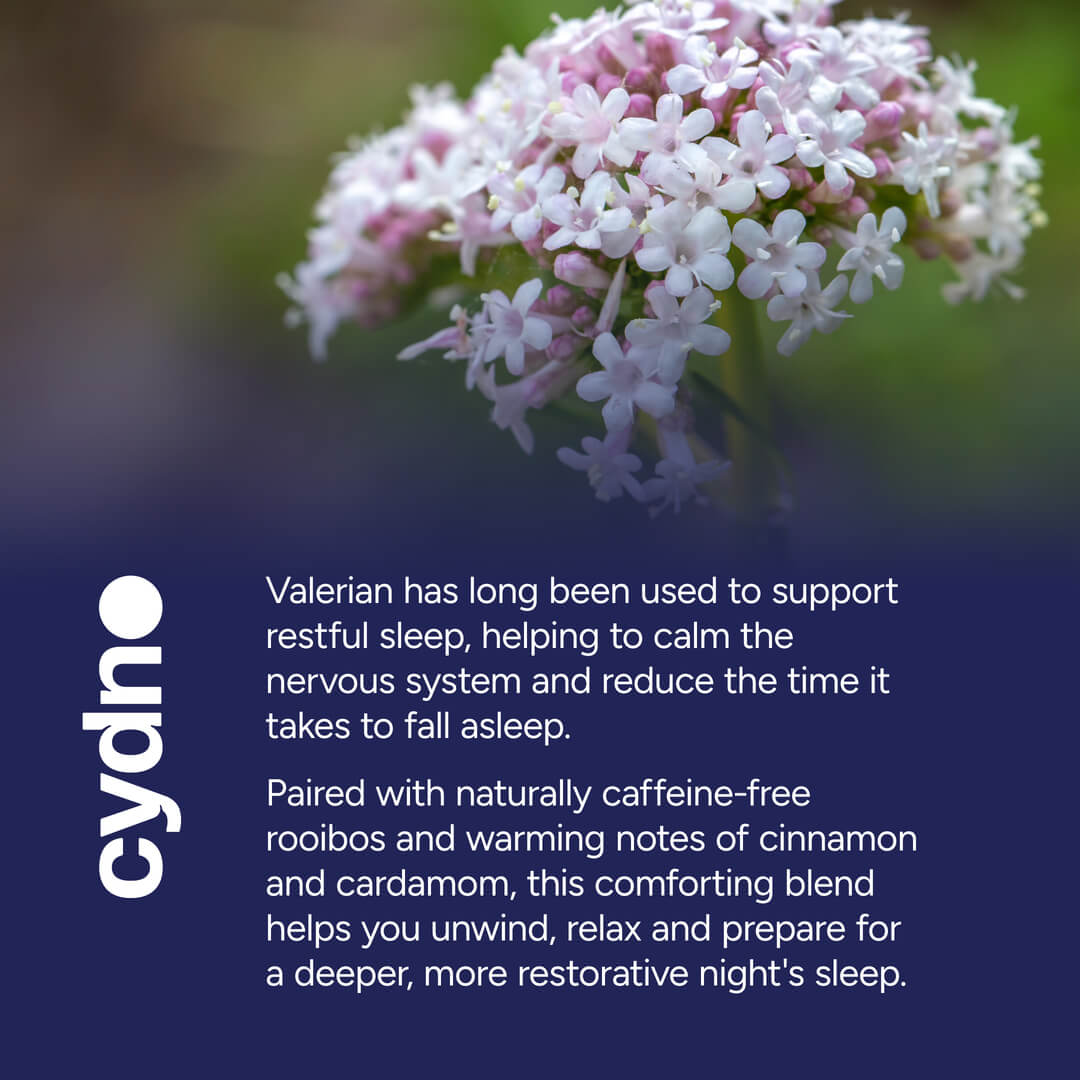 Spiced Valerian & Rooibos