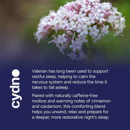 Spiced Valerian & Rooibos